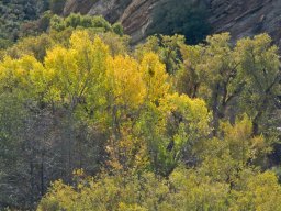 2008Fallcolors-42